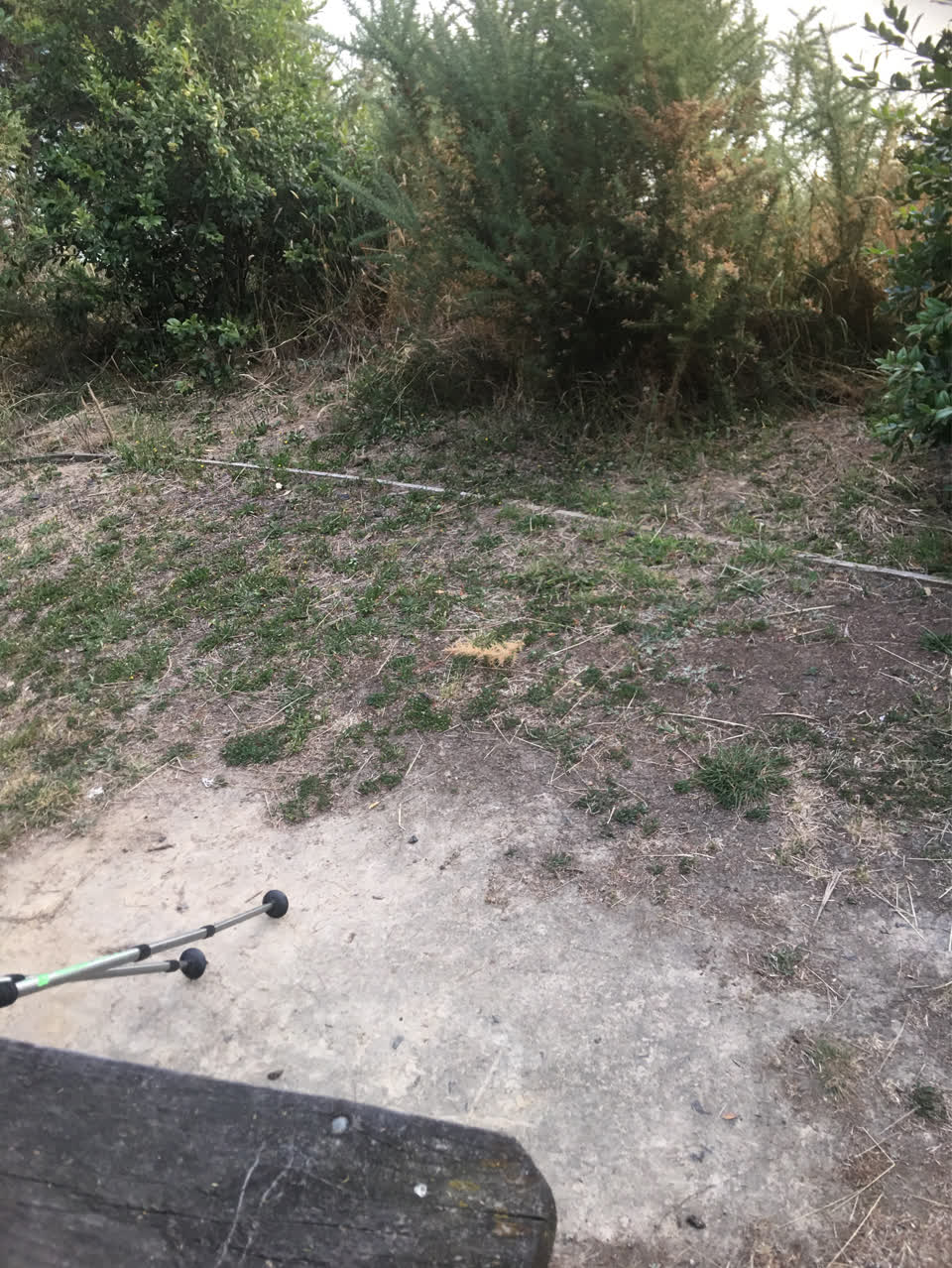The photograph attached to this parks report