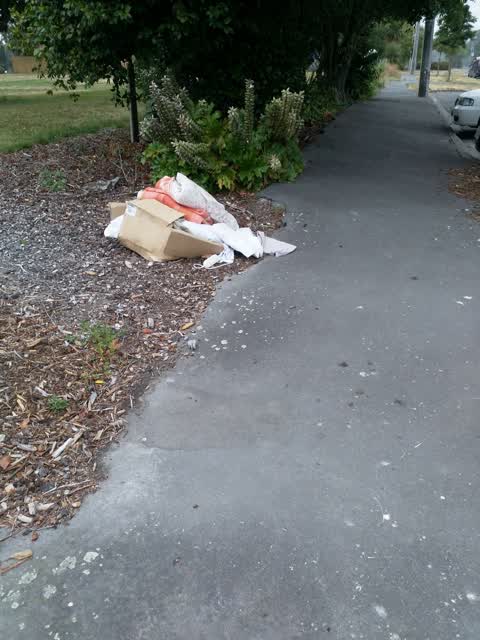 Rubbish/Recycling, a report photo