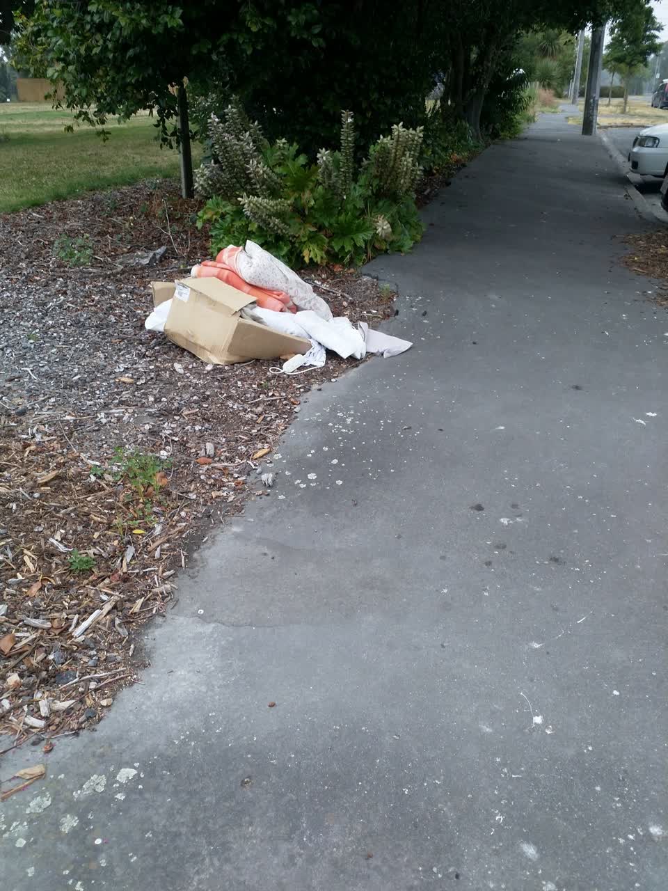 The photograph attached to this rubbish/recycling report