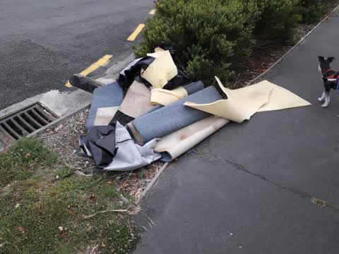 Rubbish/Recycling — a report photo