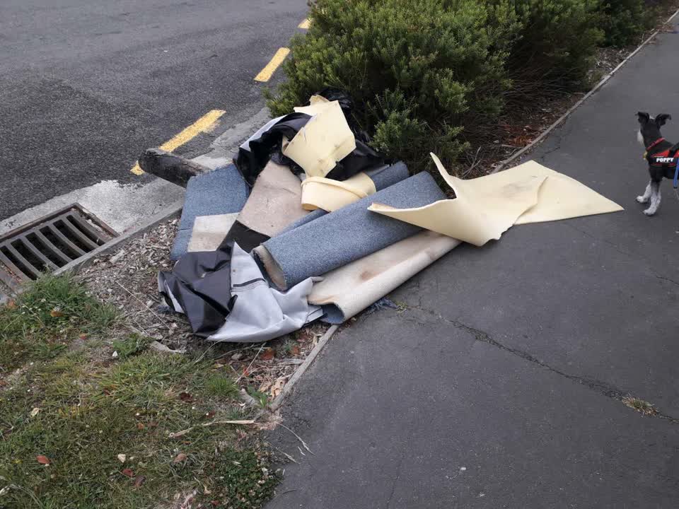 The photograph attached to this rubbish/recycling report