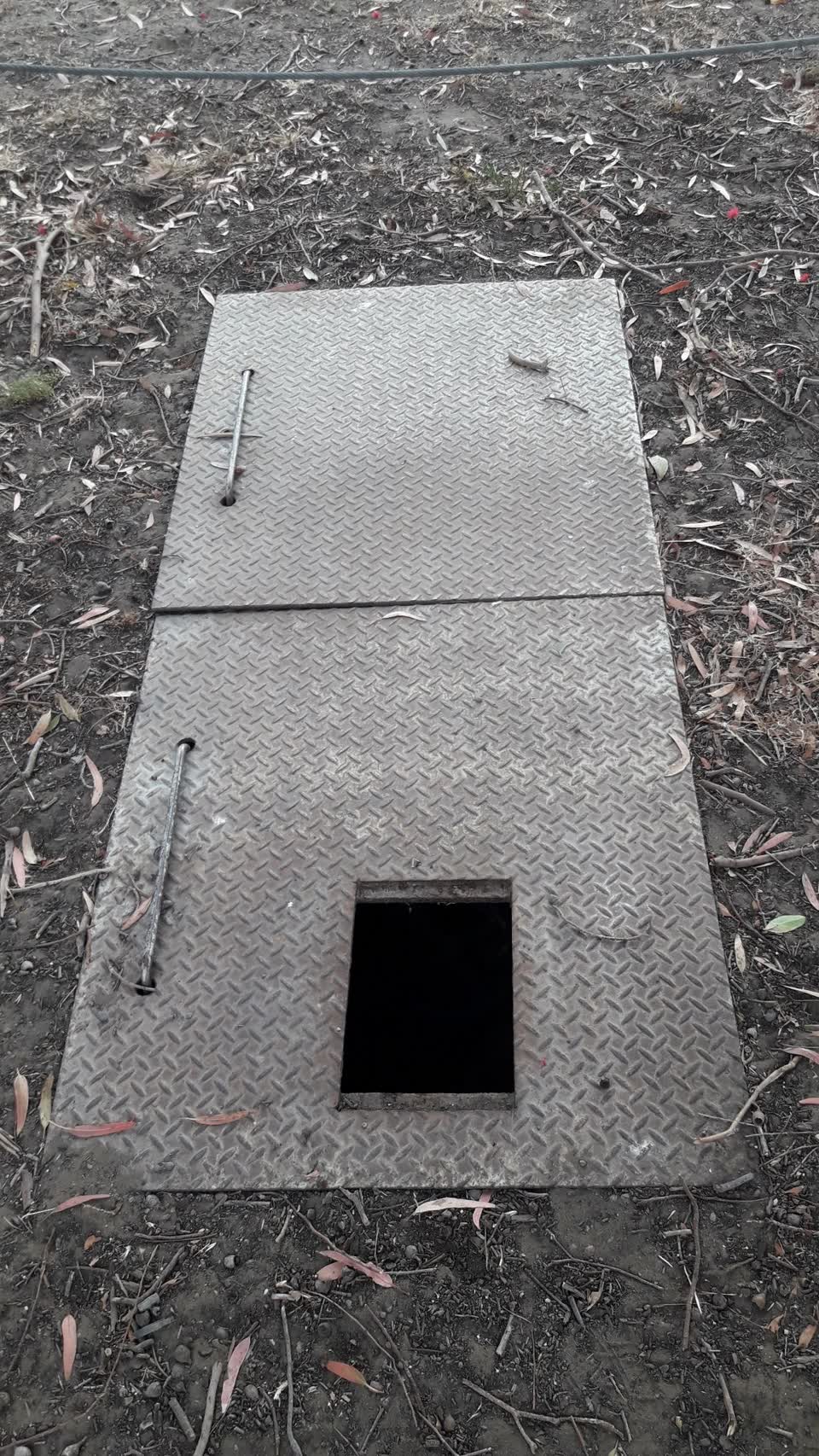 The photograph attached to this parks report