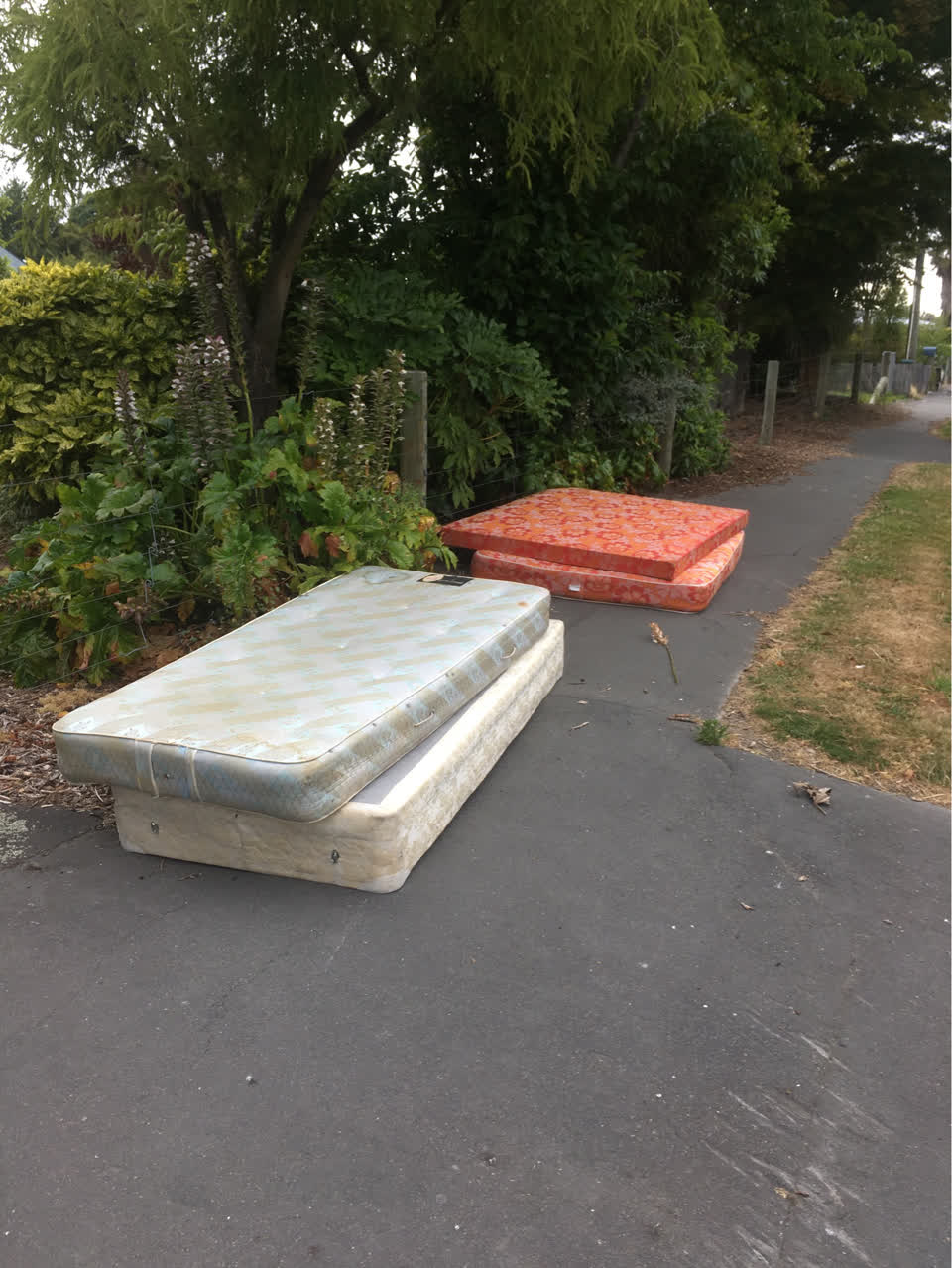 The photograph attached to this rubbish/recycling report