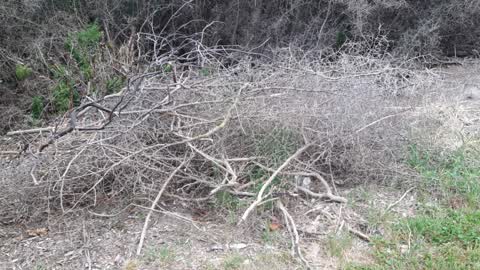 Parks, a report photo