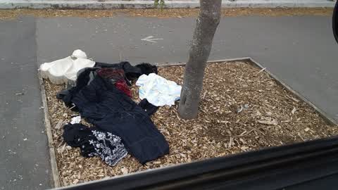 Rubbish/Recycling, a report photo