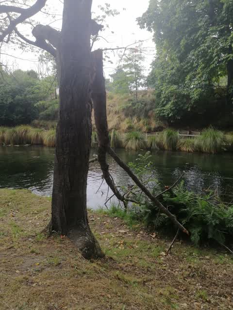 Parks, a report photo