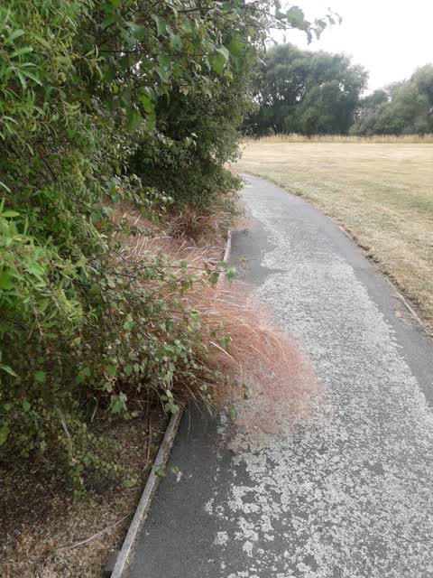 Parks, a report photo