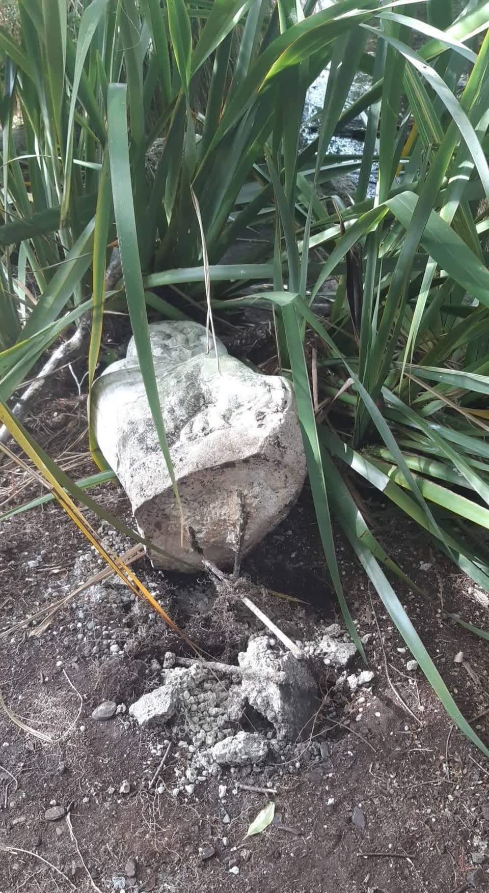 The photograph attached to this parks report