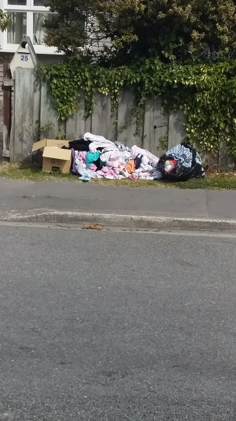 The photograph attached to this rubbish/recycling report