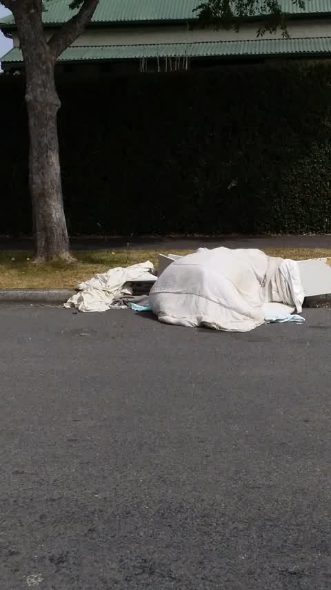 Rubbish/Recycling, a report photo