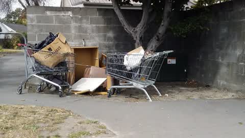 Rubbish/Recycling, a report photo