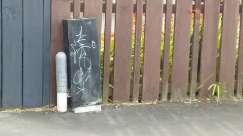 Graffiti, a report photo