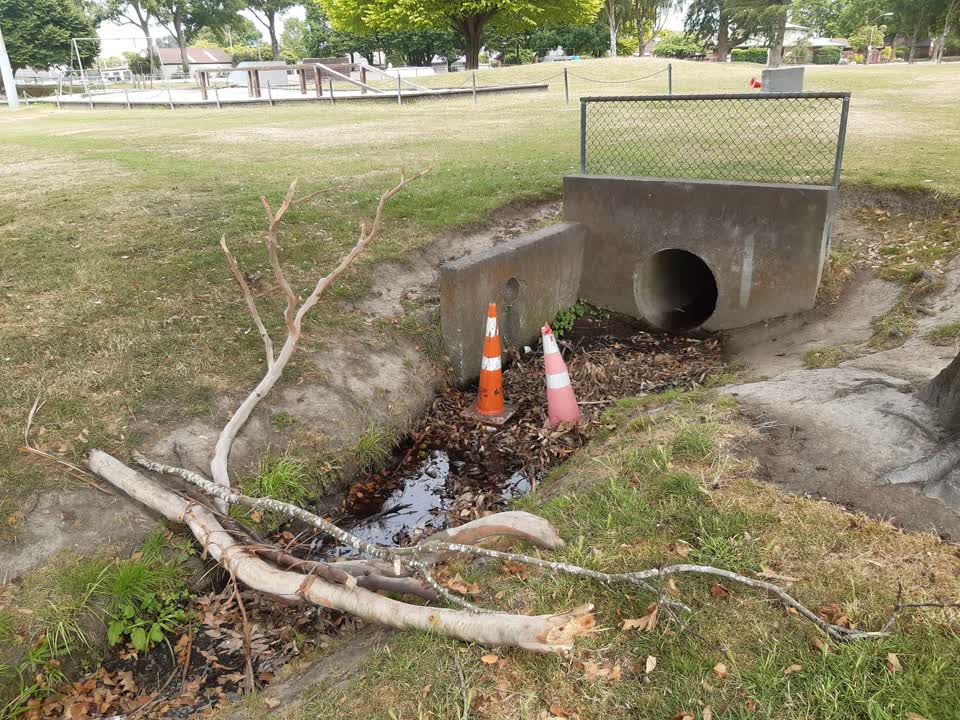 The photograph attached to this parks report