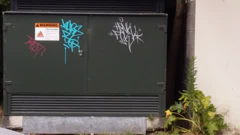 Graffiti, a report photo