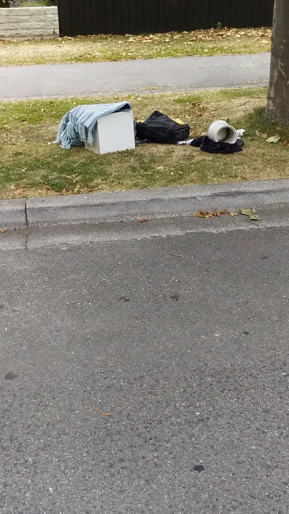 The photograph attached to this rubbish/recycling report
