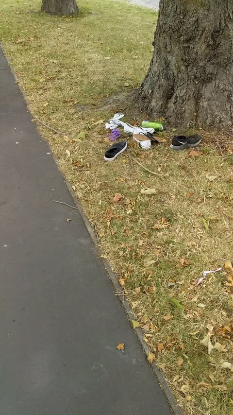 Rubbish/Recycling — a report photo