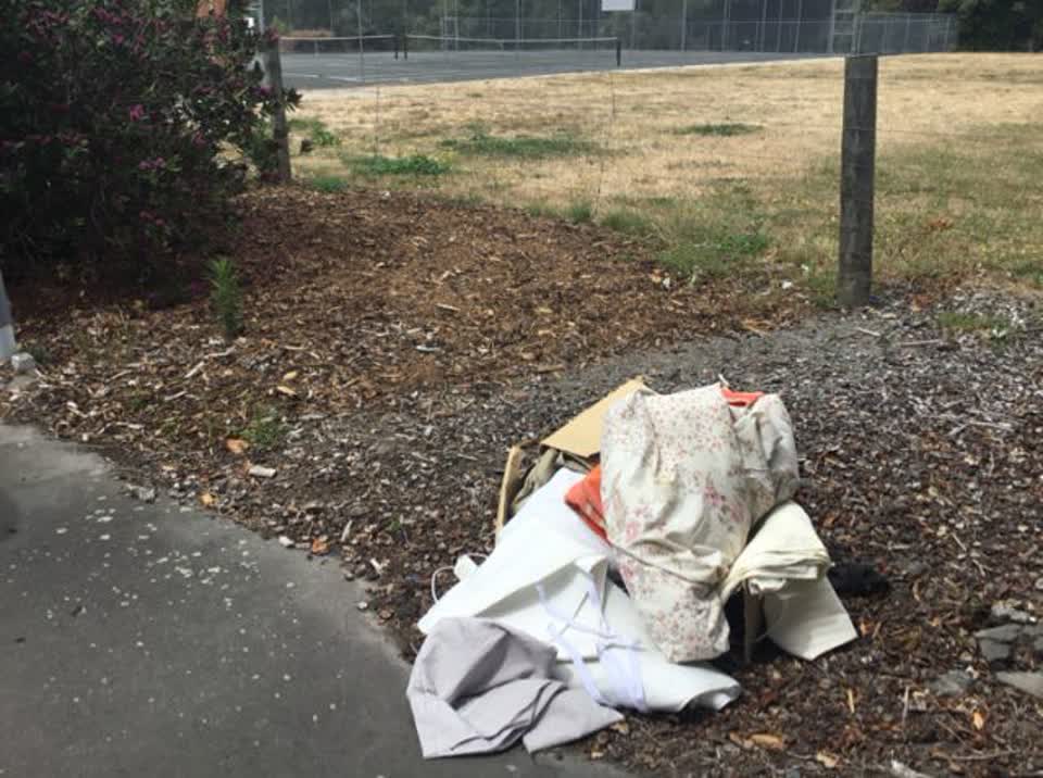 The photograph attached to this rubbish/recycling report