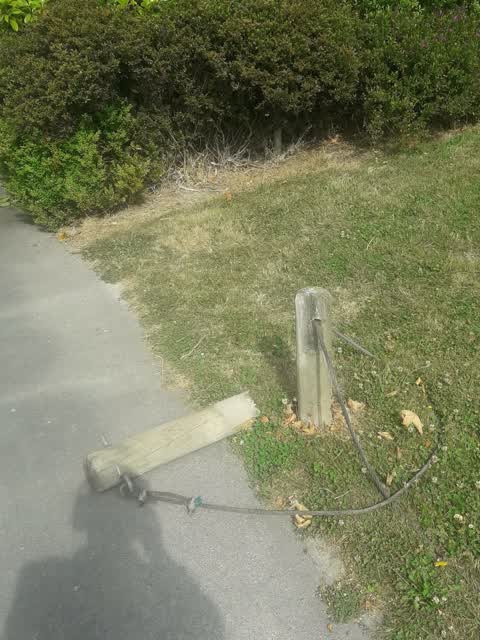 Parks — a report photo