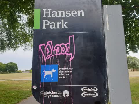 Graffiti — a report photo