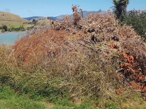 Roading/Streets, a report photo