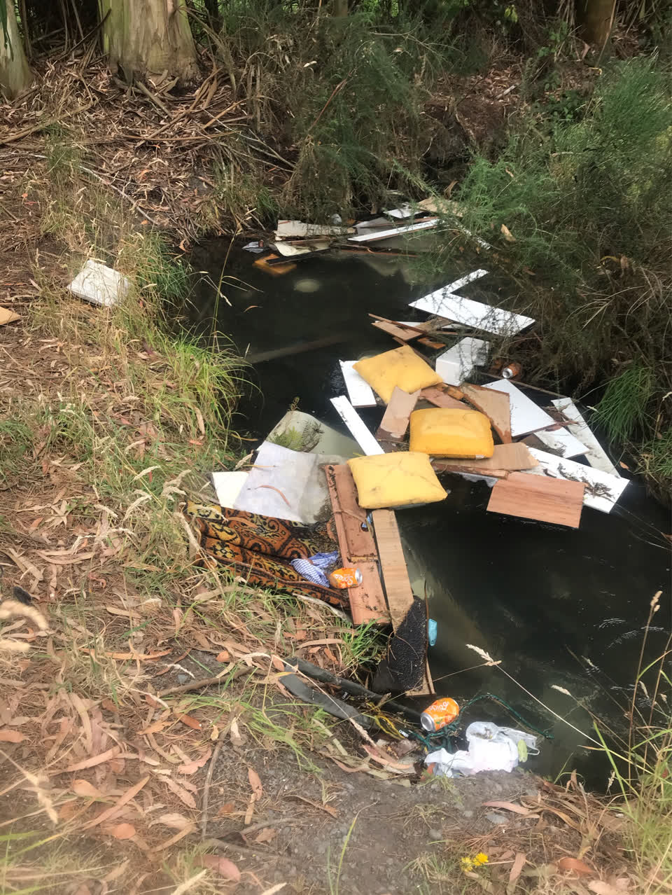 The photograph attached to this rubbish/recycling report