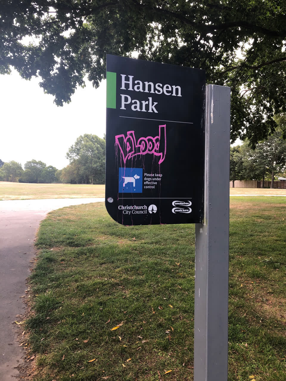 The photograph attached to this graffiti report