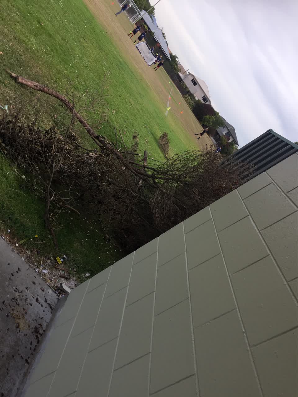 The photograph attached to this parks report