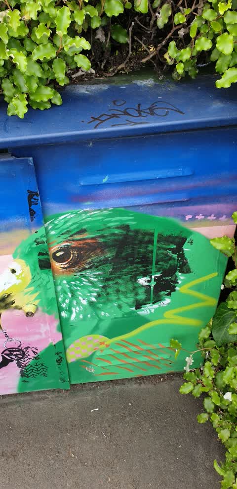 Graffiti, a report photo