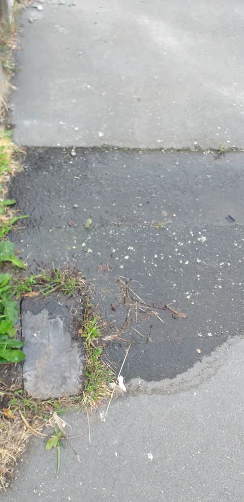 Wastewater/Stormwater, a report photo