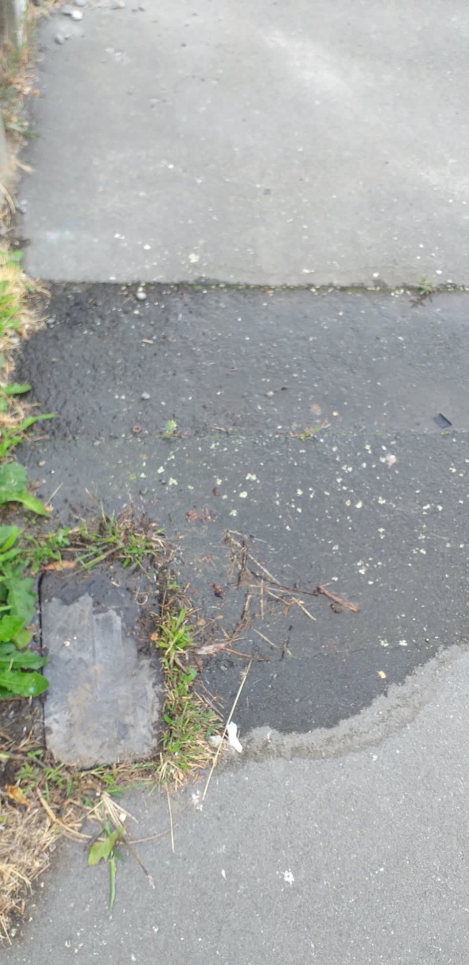 The photograph attached to this wastewater/stormwater report