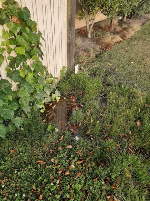 Water Supply, a report photo
