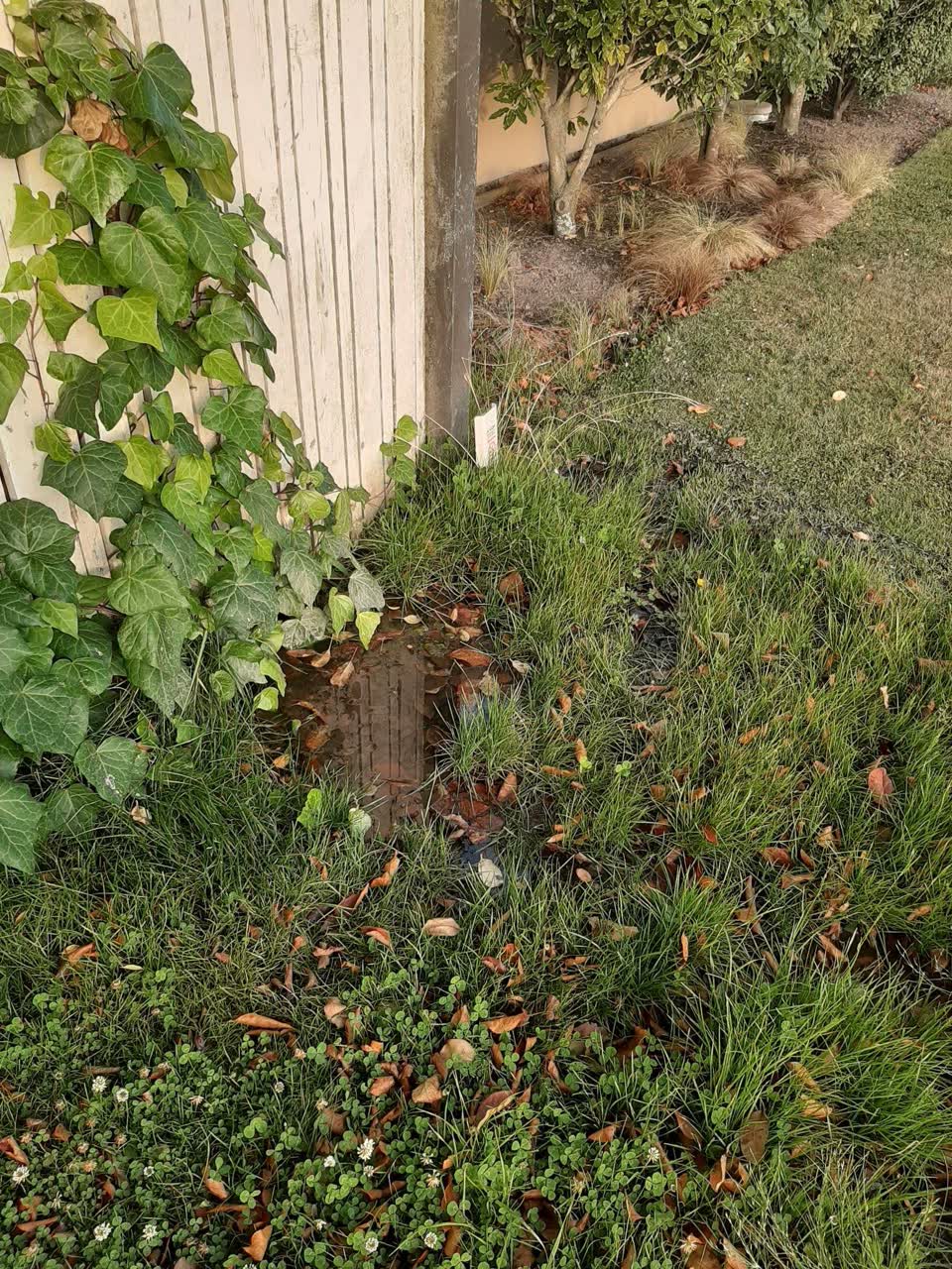 The photograph attached to this water supply report