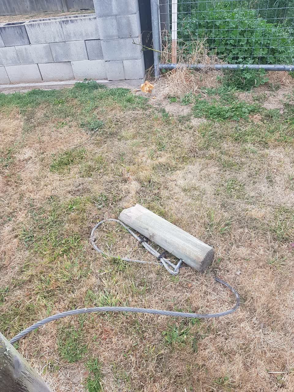 The photograph attached to this parks report