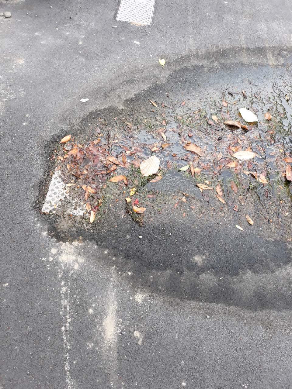 The photograph attached to this water supply report