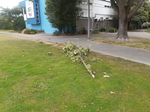 Parks, a report photo