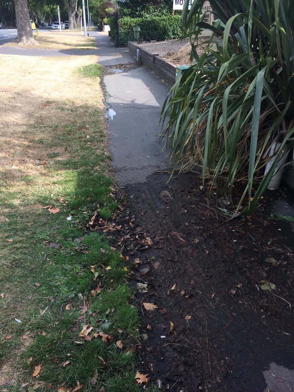 The photograph attached to this water supply report