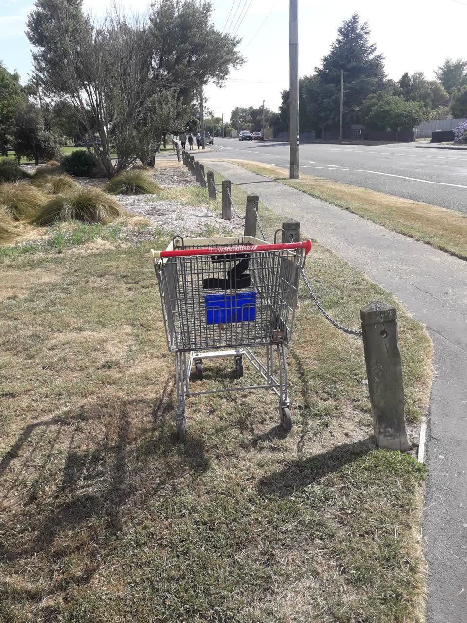 The photograph attached to this parks report