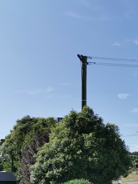 Roading/Streets, a report photo