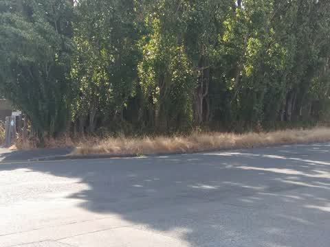 Parks, a report photo