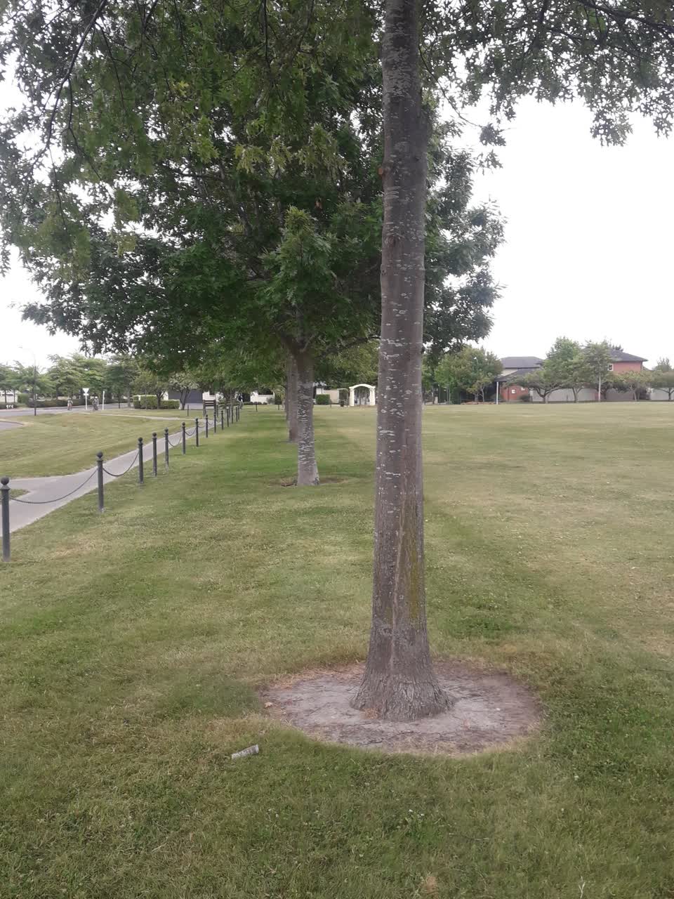 The photograph attached to this parks report