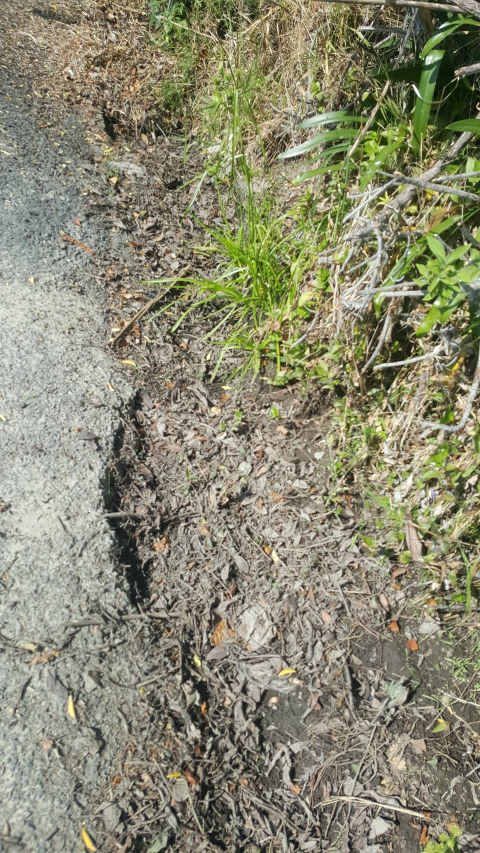 The photograph attached to this roading/streets report