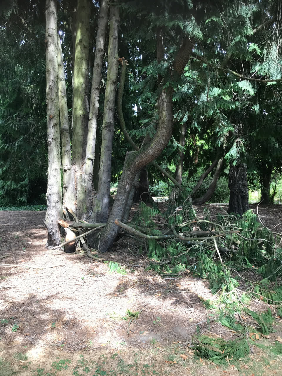 The photograph attached to this parks report