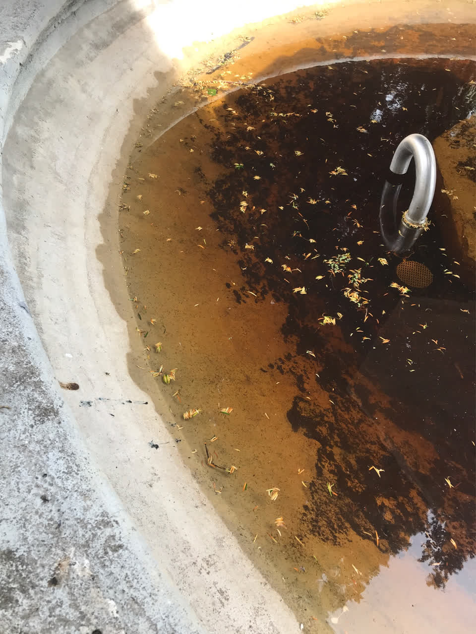 The photograph attached to this parks report