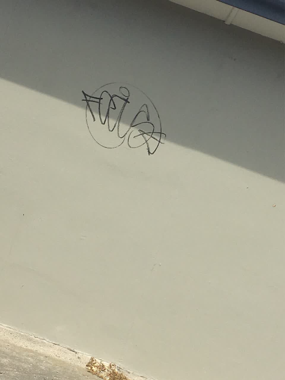 The photograph attached to this graffiti report