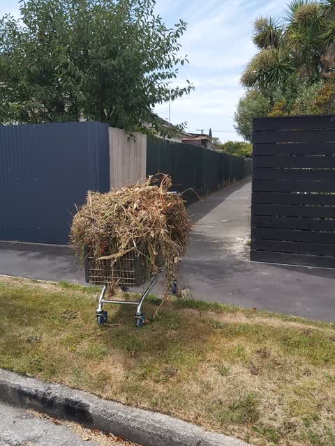 Rubbish/Recycling, a report photo