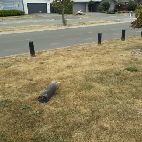Parks, a report photo