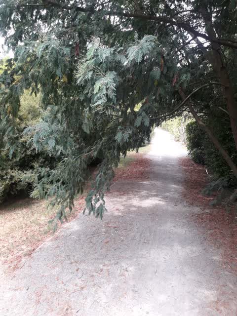 Parks, a report photo