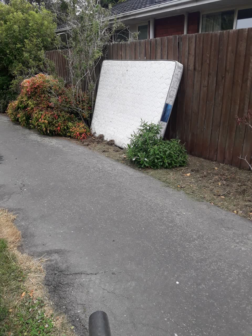 The photograph attached to this parks report