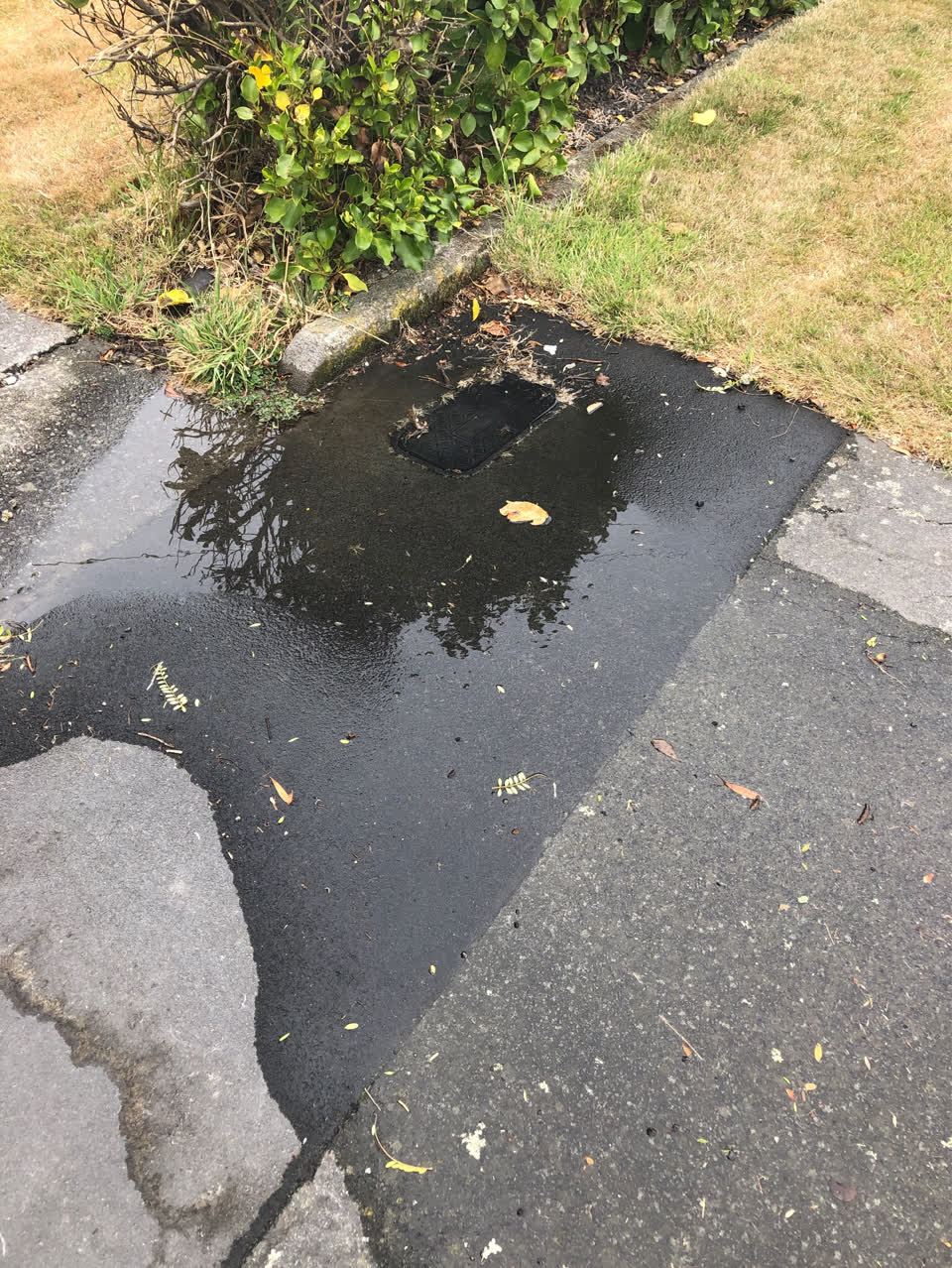 The photograph attached to this roading/streets report