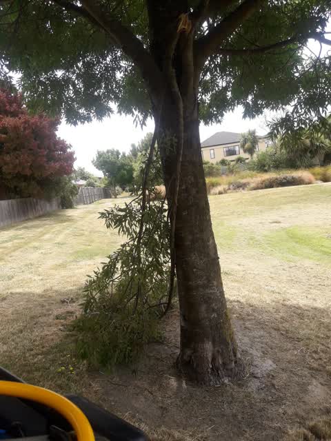 Parks, a report photo